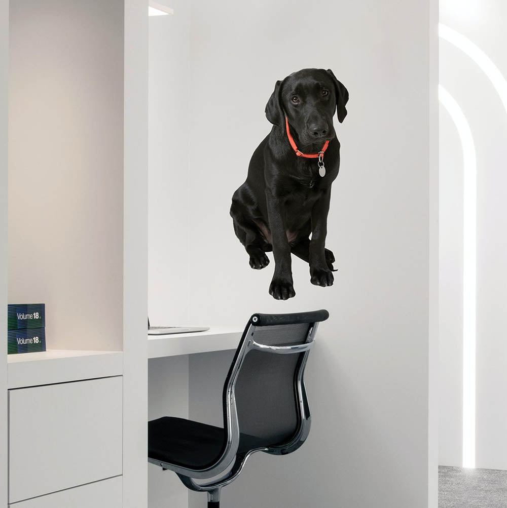 36 inch Black Lab Die-Cut Decal Installed in Cubicle