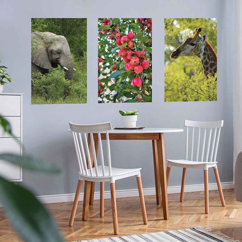 24x36 inch Giraffe Profile Decal Installed in Breakfast Area