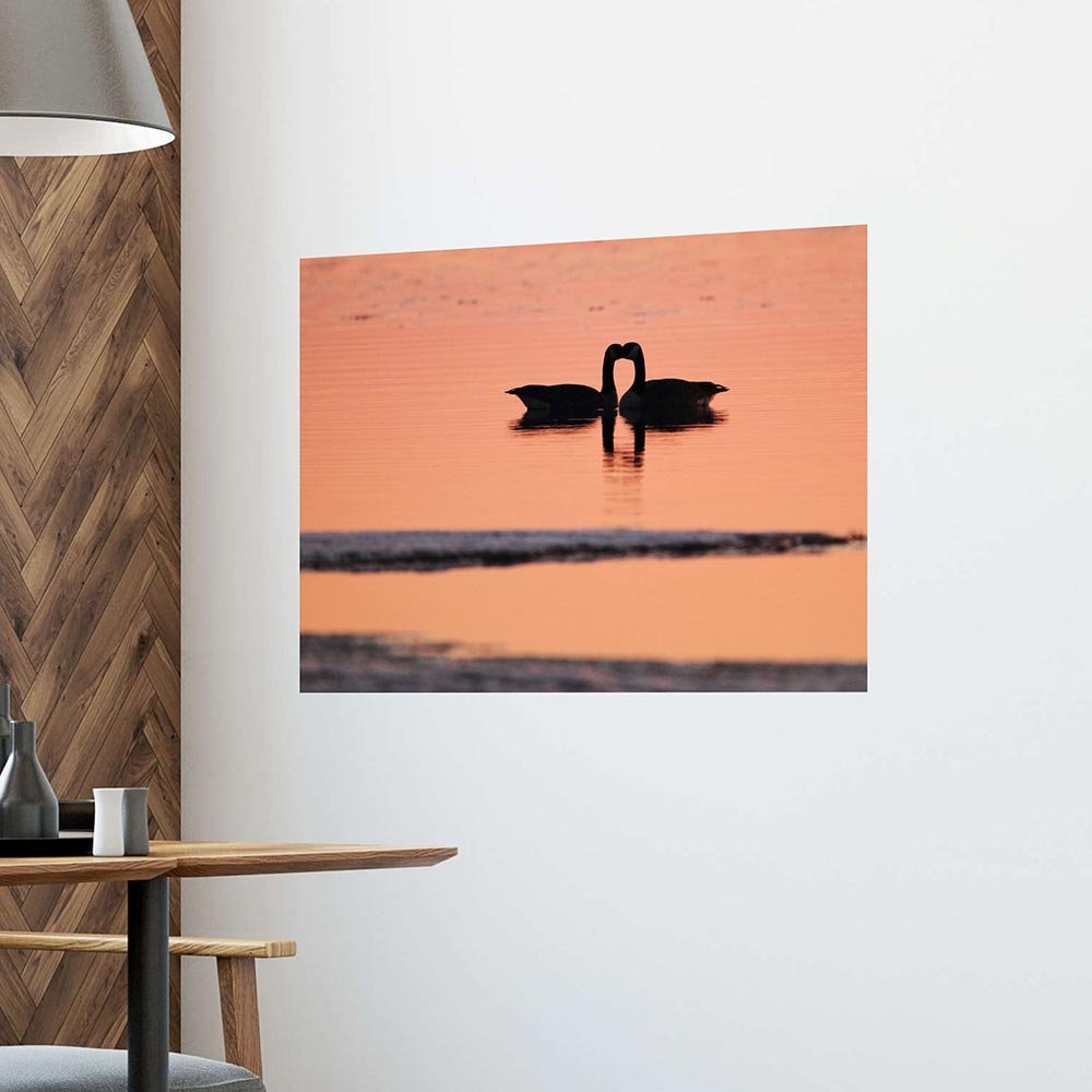24x36 inch Goose Love Decal Installed on Wall