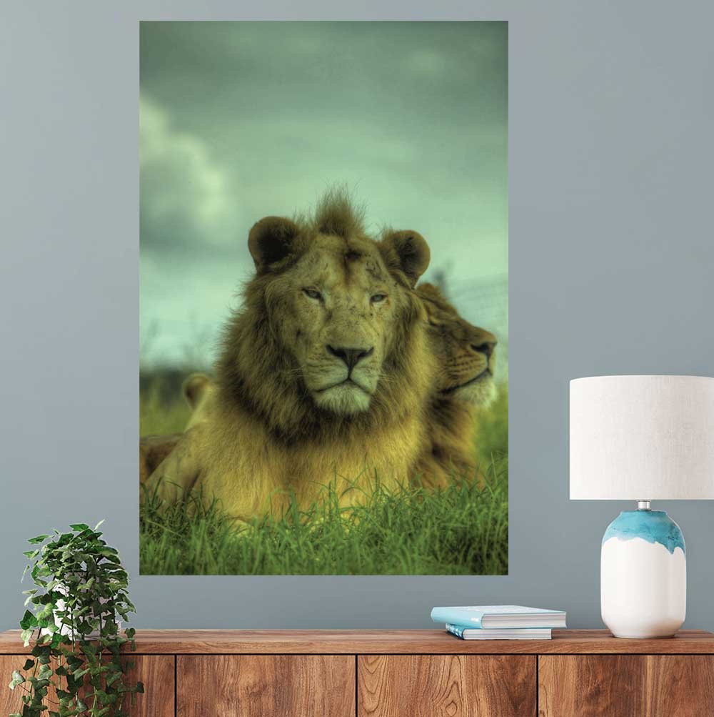 24x36 inch King of the Jungle Poster Displayed Above Console Table