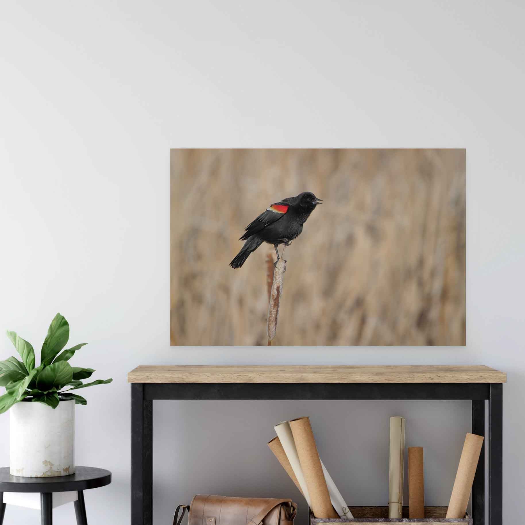 36 inch Red Winged Blackbird Poster Displayed Above Console Table