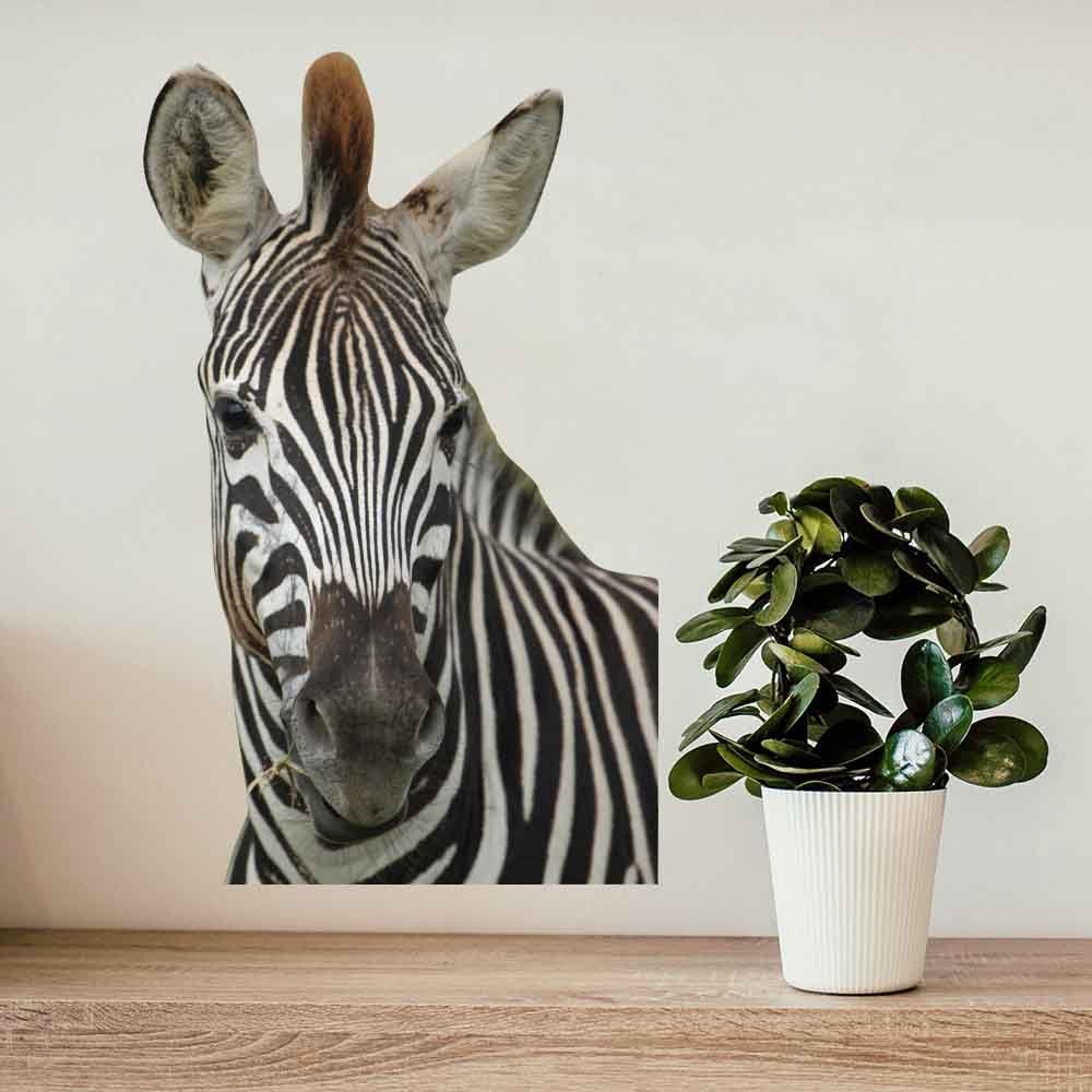 22x36 inch Die-Cut Zebra Decal Installed Above Shelf