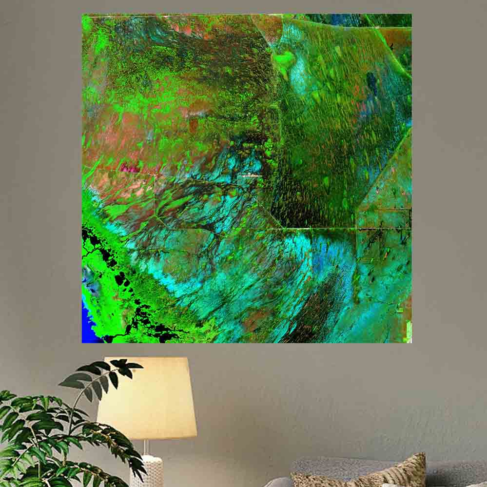 36x36 inch Everglades Satellite Poster Displayed Above Lamp