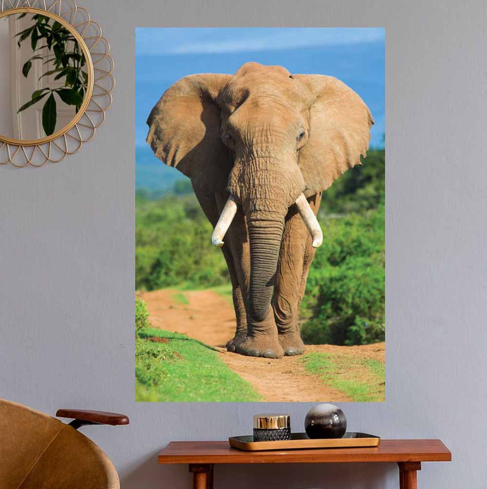 36 inch Elephant Charging Poster Installed on Wall