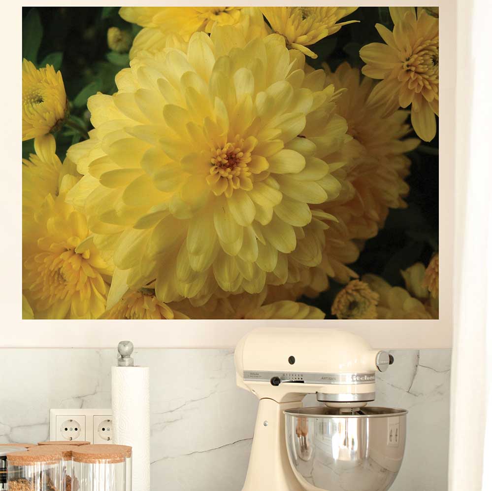 27x36 inch Chrysanthemum Flowers Poster Displayed in Kitchen