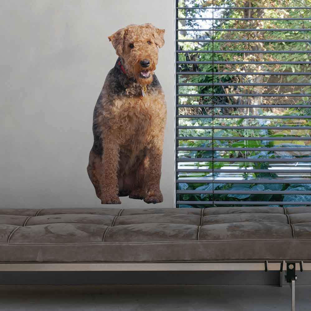 16x36 inch Dow Decal Installed Above Bench Seat