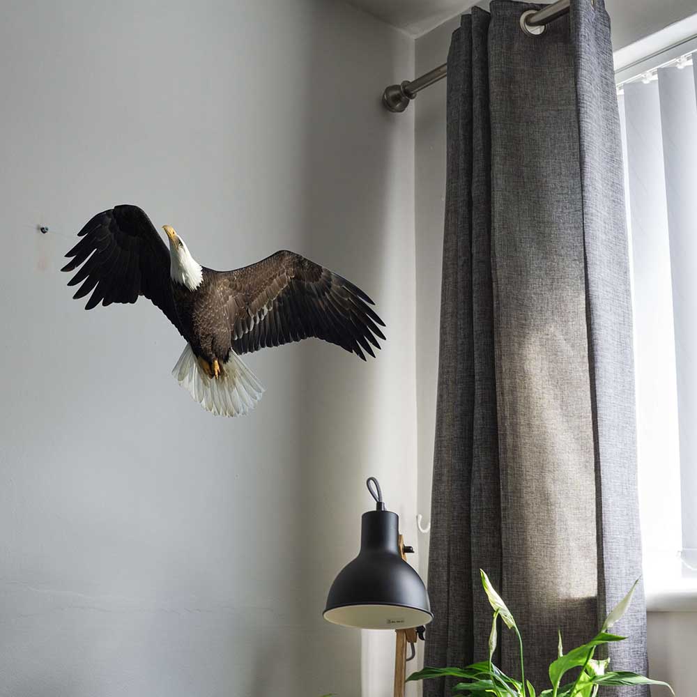 36 inch Soaring Eagle Die-Cut Decal Installed by Window