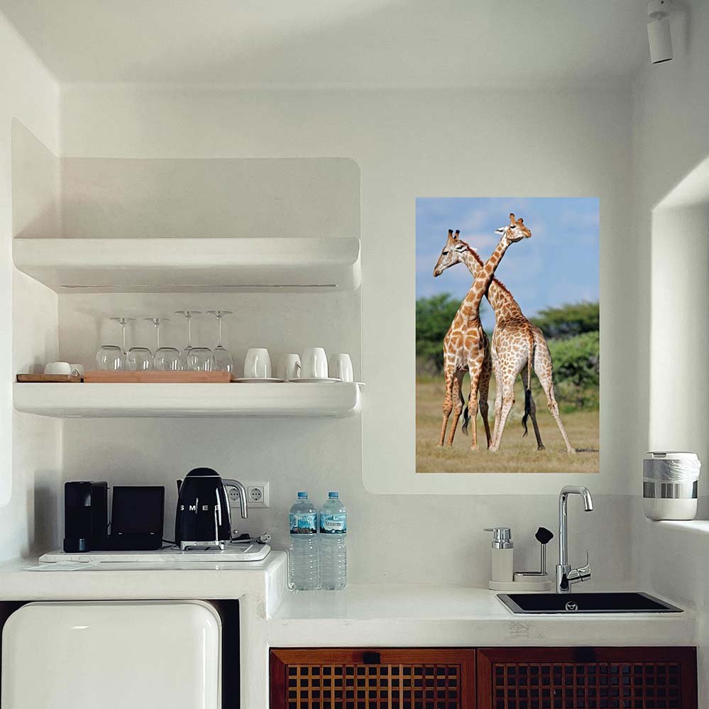 36 inch Crossing Giraffes Decal Installed in Kitchen