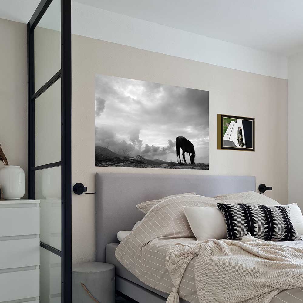 36 inch Grazing Horse Gloss Poster Installed Above Bed