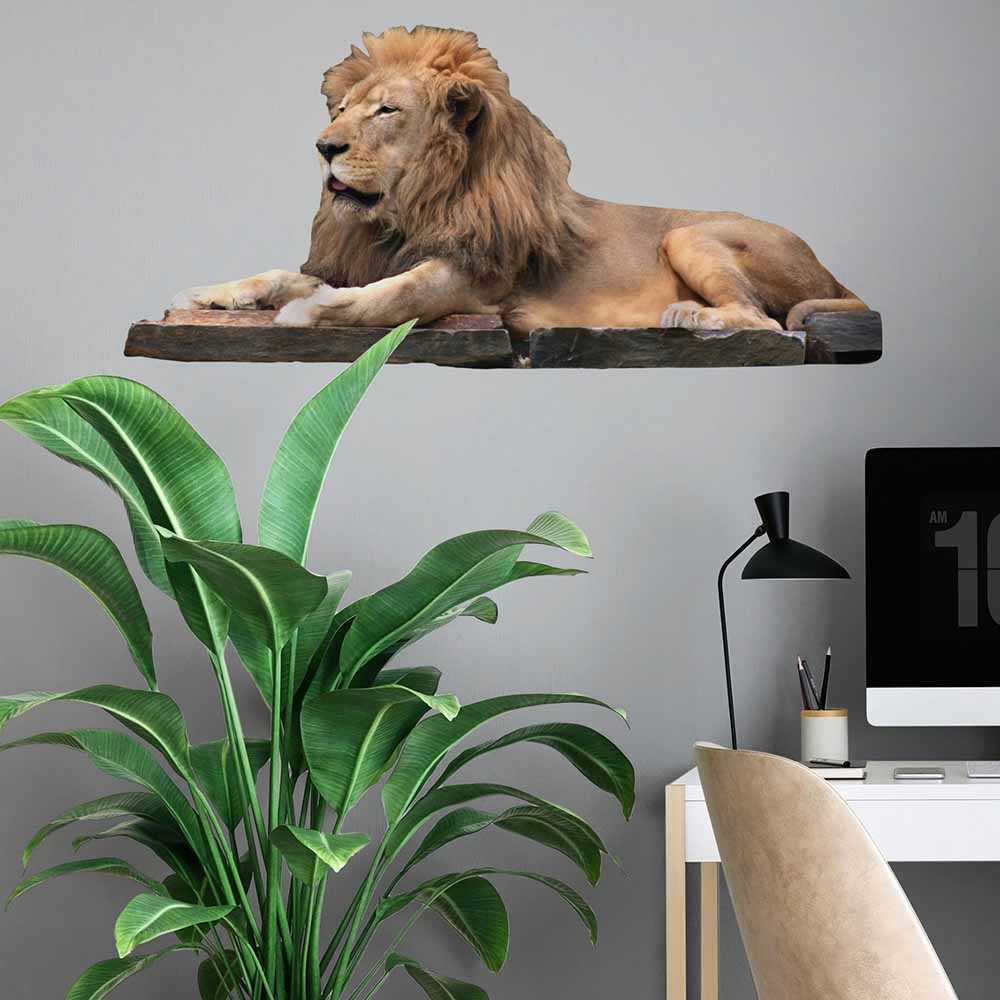 36 inch Lion Resting Wall Decal Installed in Office Area