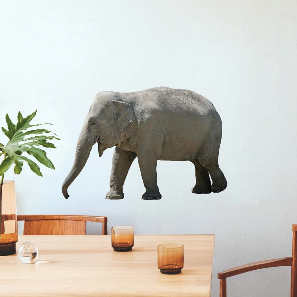 36 inch Lumbering Elephant Decal Installed Above Table & Chairs