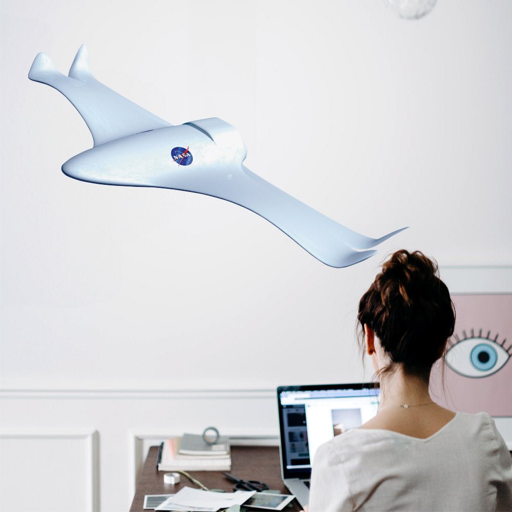36 inch NASA Smart Plane Die-Cut Decal Installed in Office