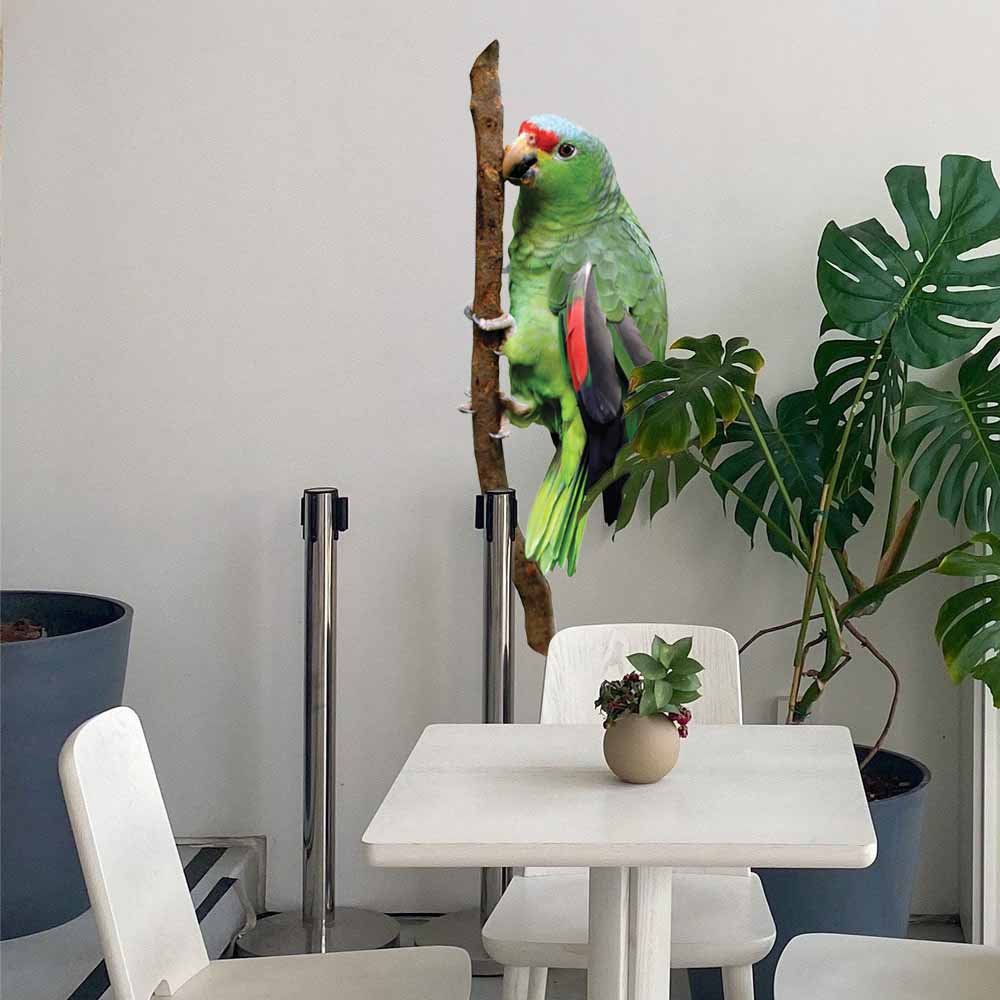 36 inch Parrot Die-Cut Decal Installed in Breakfast Nook