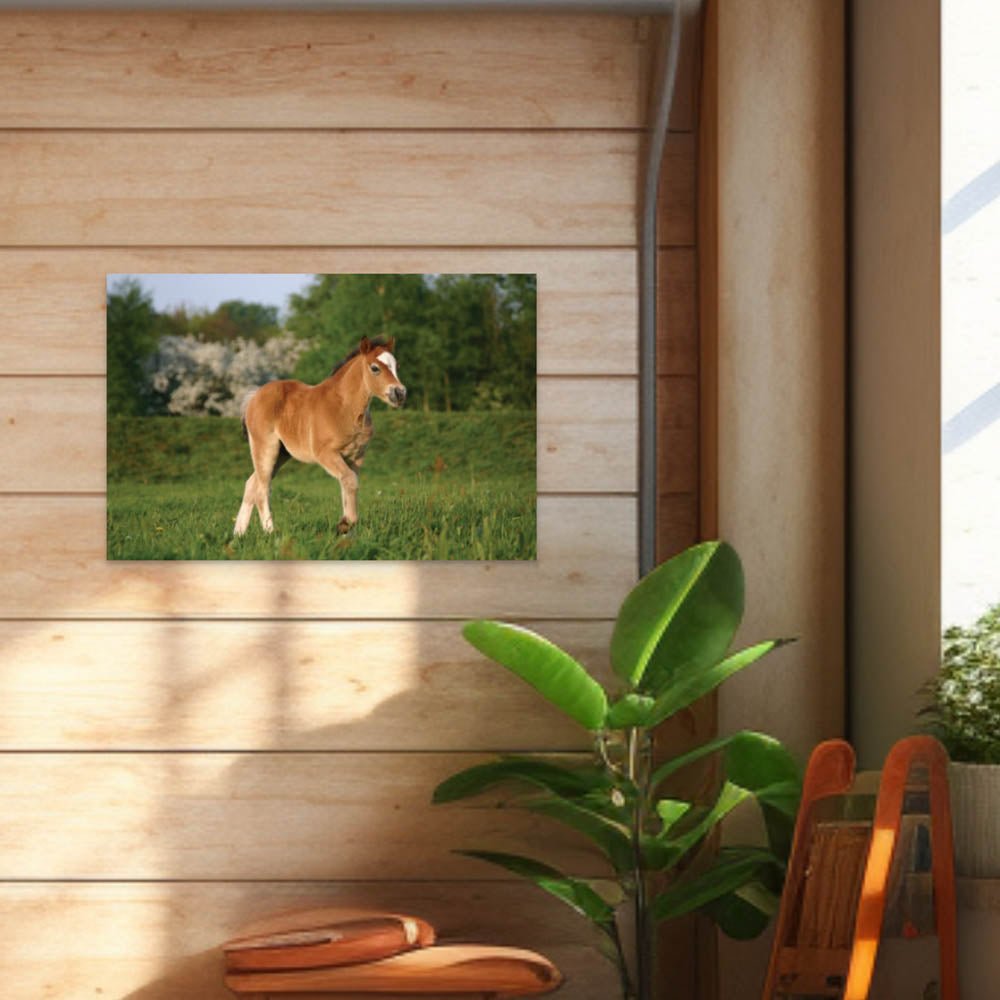 36 inch Pony in a Field Wall Decal Installed on Wall