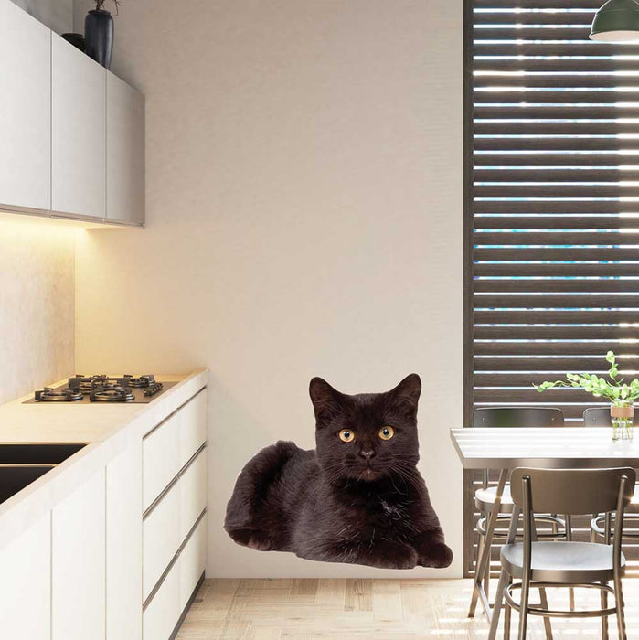 36 inch Black Cat Die-Cut Decal Installed in Kitchen