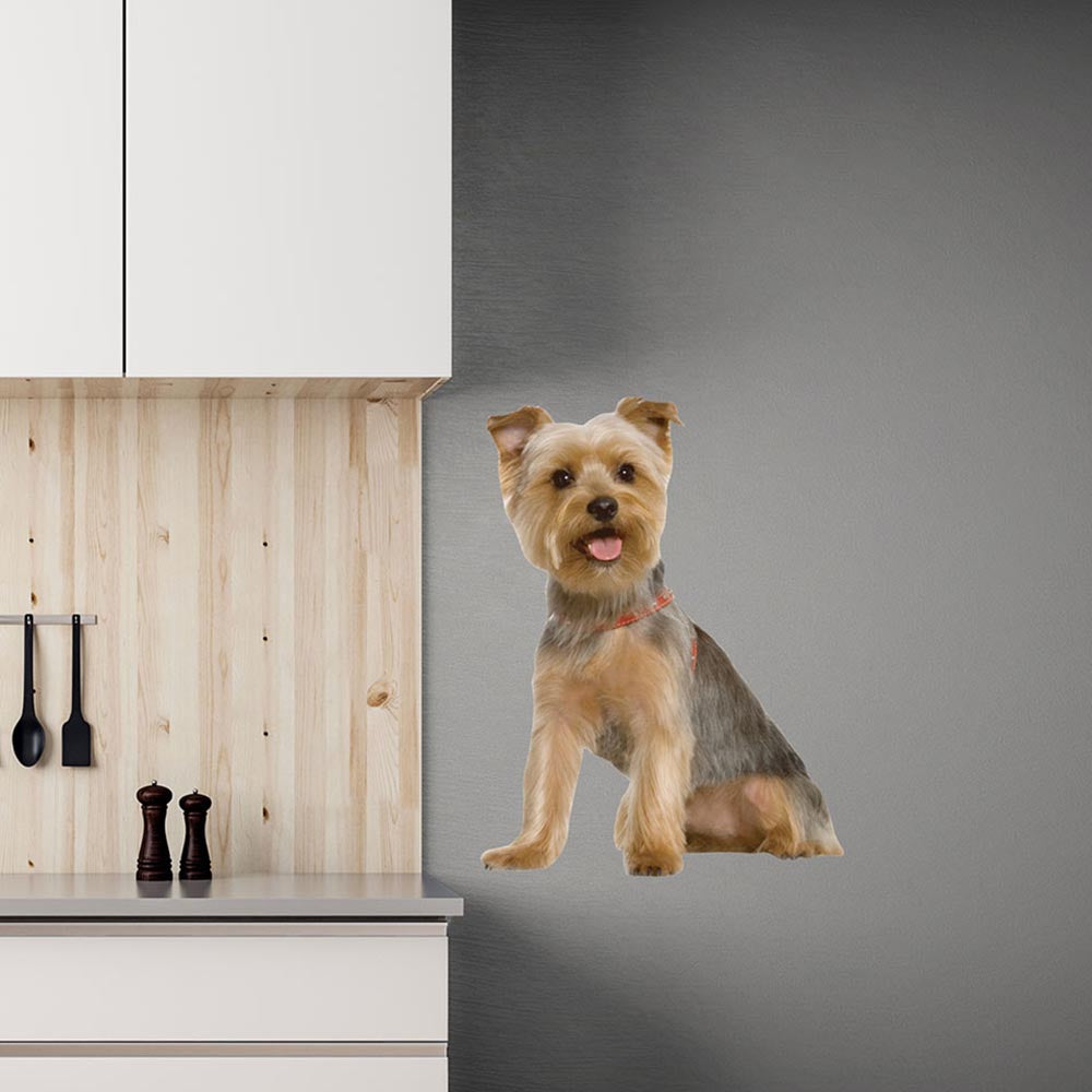 36 inch Die-Cut Terrier Dog Decal Installed in Kitchen