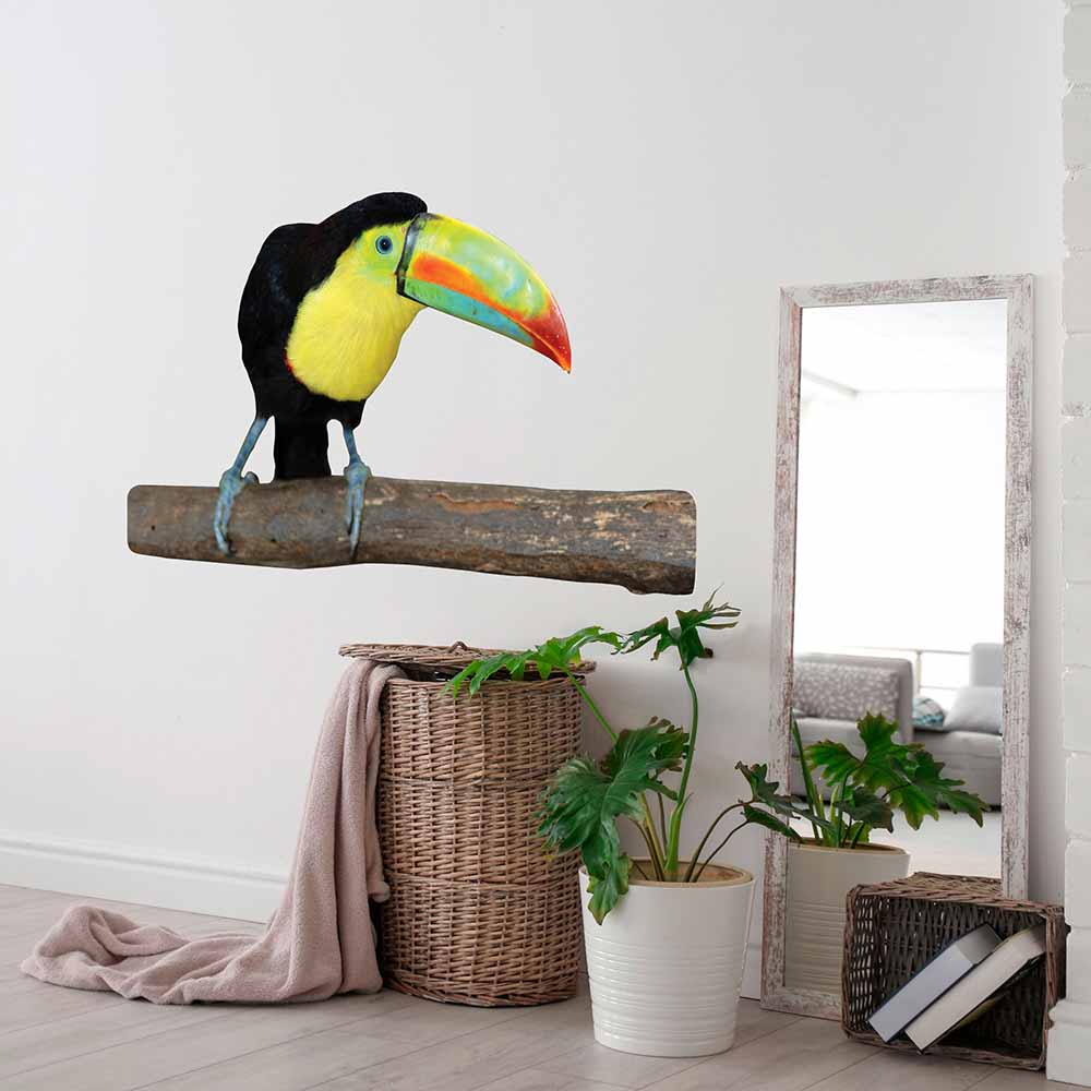 36 inch Toucan Die-Cut Decal Installed in Laundry Area