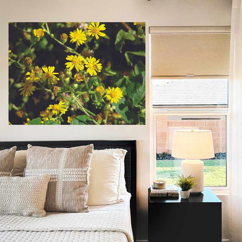 36 inch Daisies Gloss Poster Displayed in Bedroom