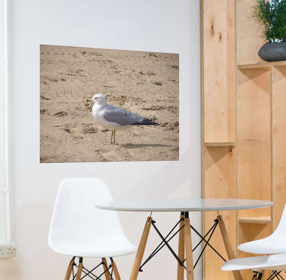 36 inch Seagull on Beach Poster Displayed in Dining Area