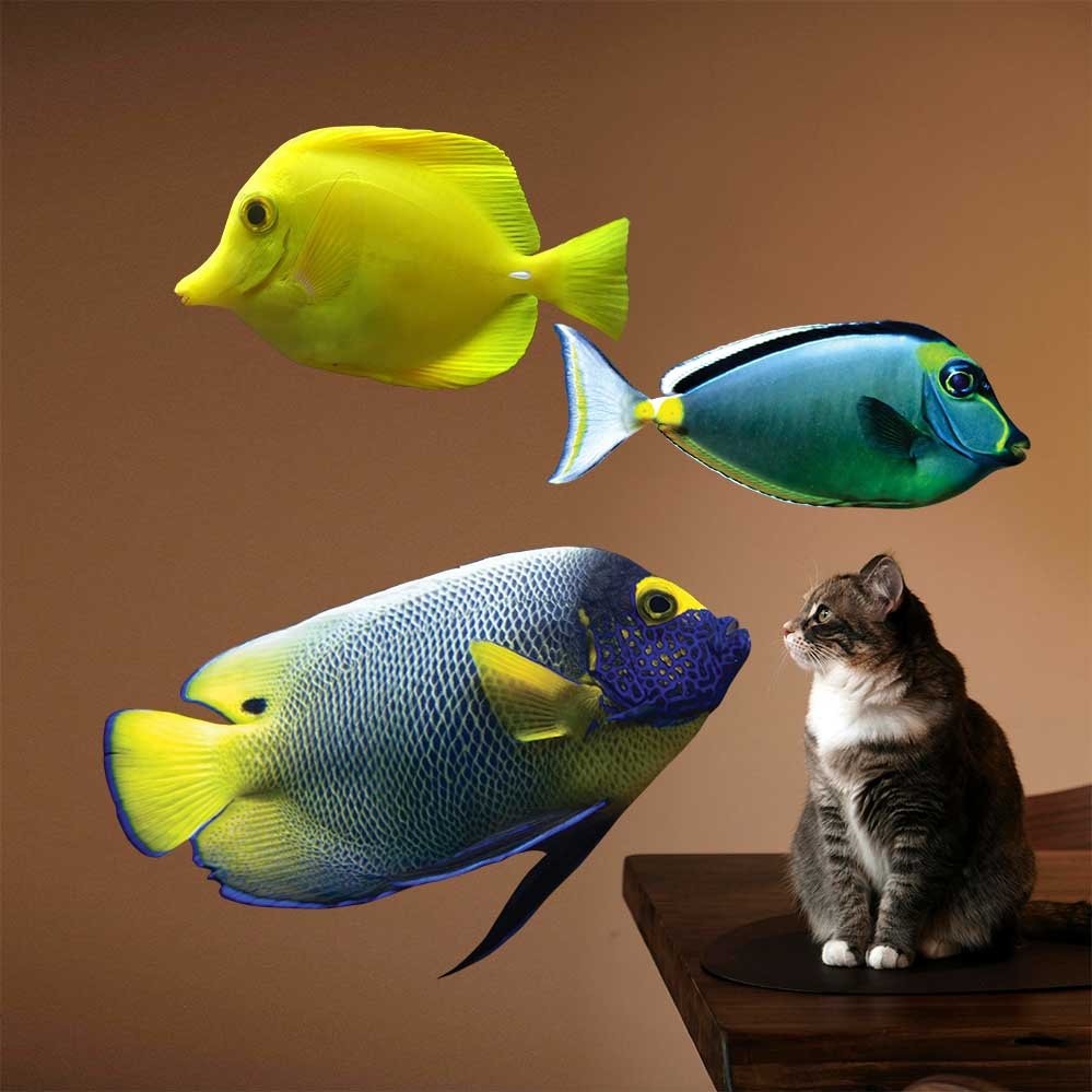 23x36 inch Angel Fish Decal Installed by Table w/Cat