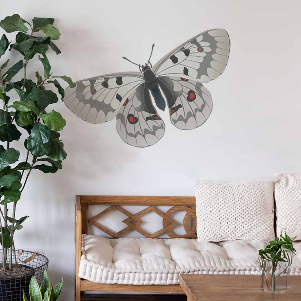 19x36 inch Apollo Butterfly Decal Installed Above Settee