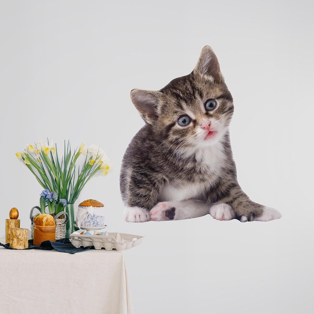 36 inch Striped Kitten Decal Installed on Wall