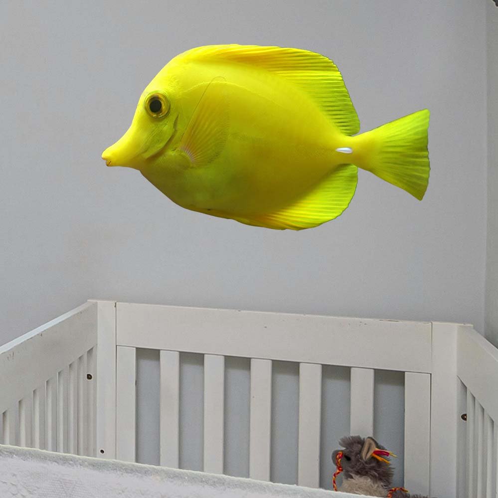 19.5x36 inch Yellow Tang Decal Installed  in Nursery