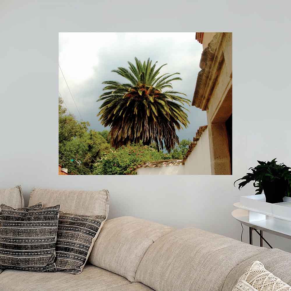 29.5x36 inch Mexico Palm Tree Decal Installed Above Couch