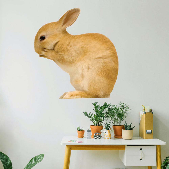 36 inch Whispering Bunny Decal Installed Above Plants