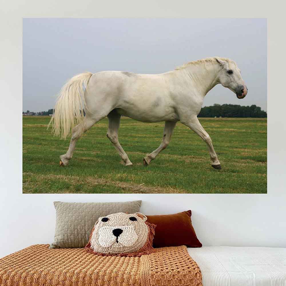 36 inch White Mustang Poster Displayed by Bed