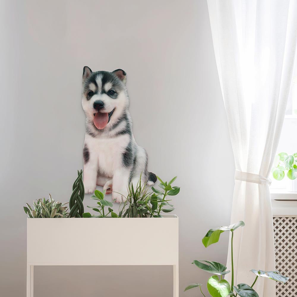 36 inch Husky Puppy Decal Installed Above Planter