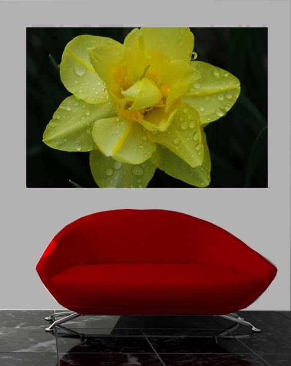 Guernsey Flower Glossy Poster (5 Sizes Available)