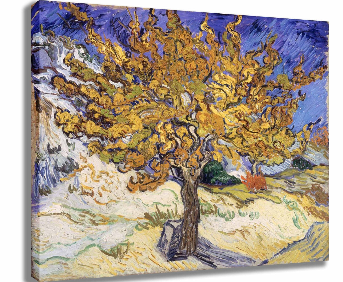 van Gogh 