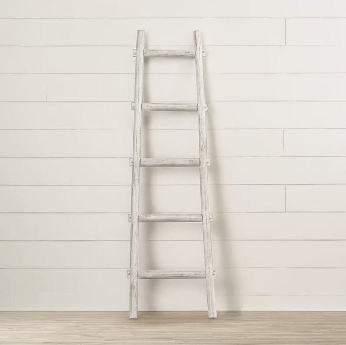 5 Step Decorative Ladder Shelve | 18"x59" (3 Colors Available)