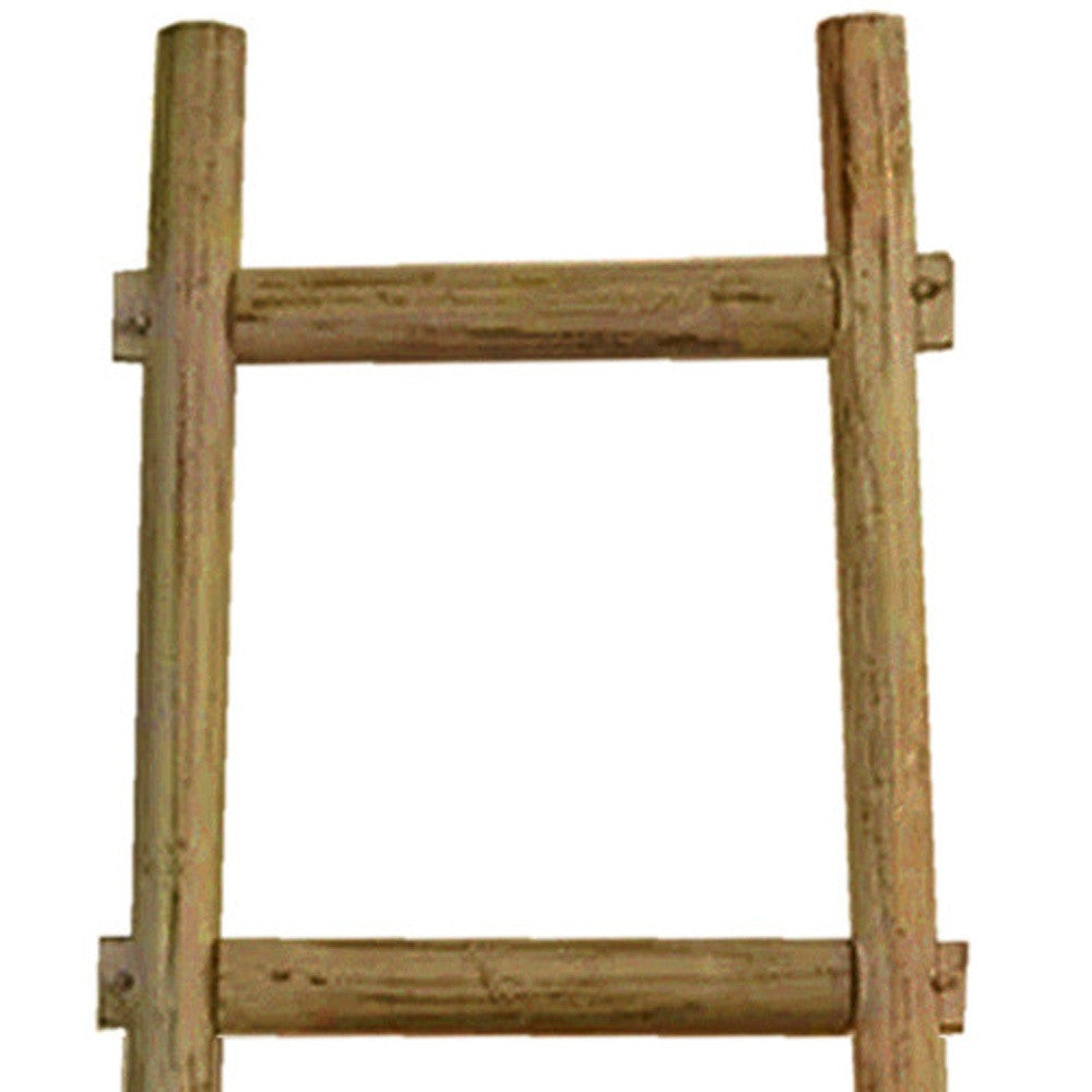 6 Step Decorative Ladder Shelf | 18