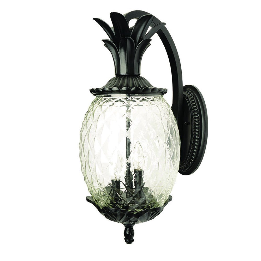 Black Lantern Wall Lighting