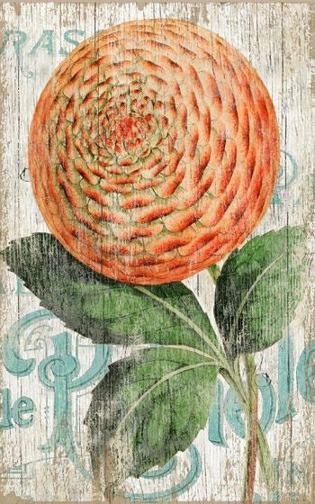 Orange Zinnia Flower Wood Wall Art | 26