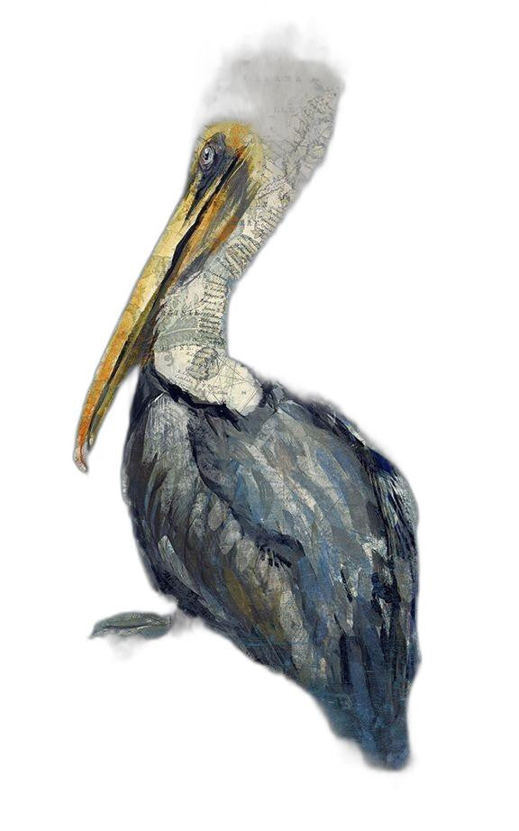 Blue Watercolor Pelican XL Wood Wall Art | 40