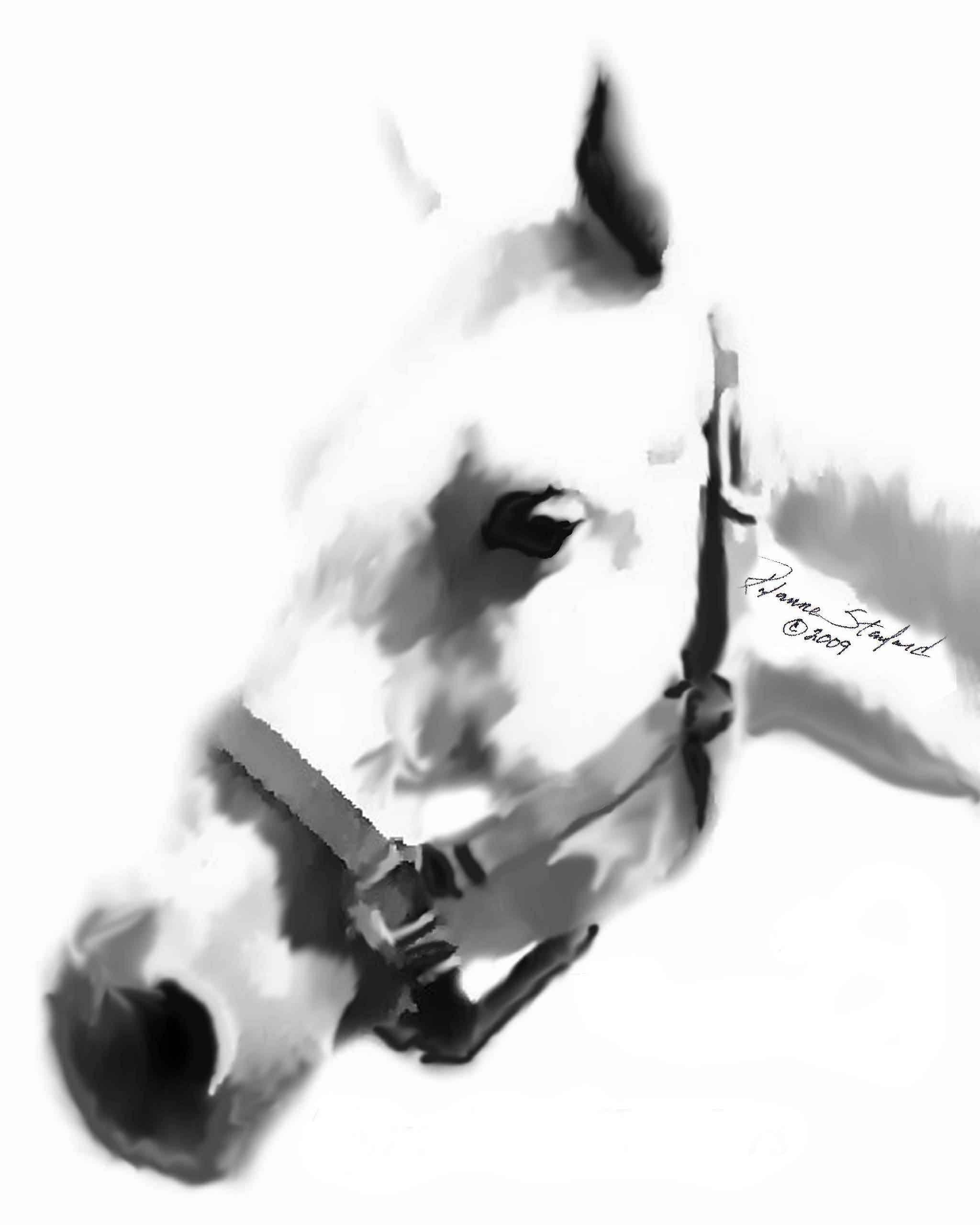 🐎 Tymeless Wonders Black & White Horse Portrait Wall Decal (3 Sizes Available)