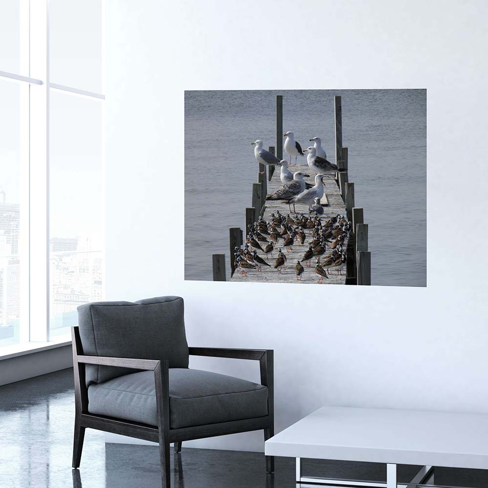 48 inch Birds on Dock Poster Installed Above Chair