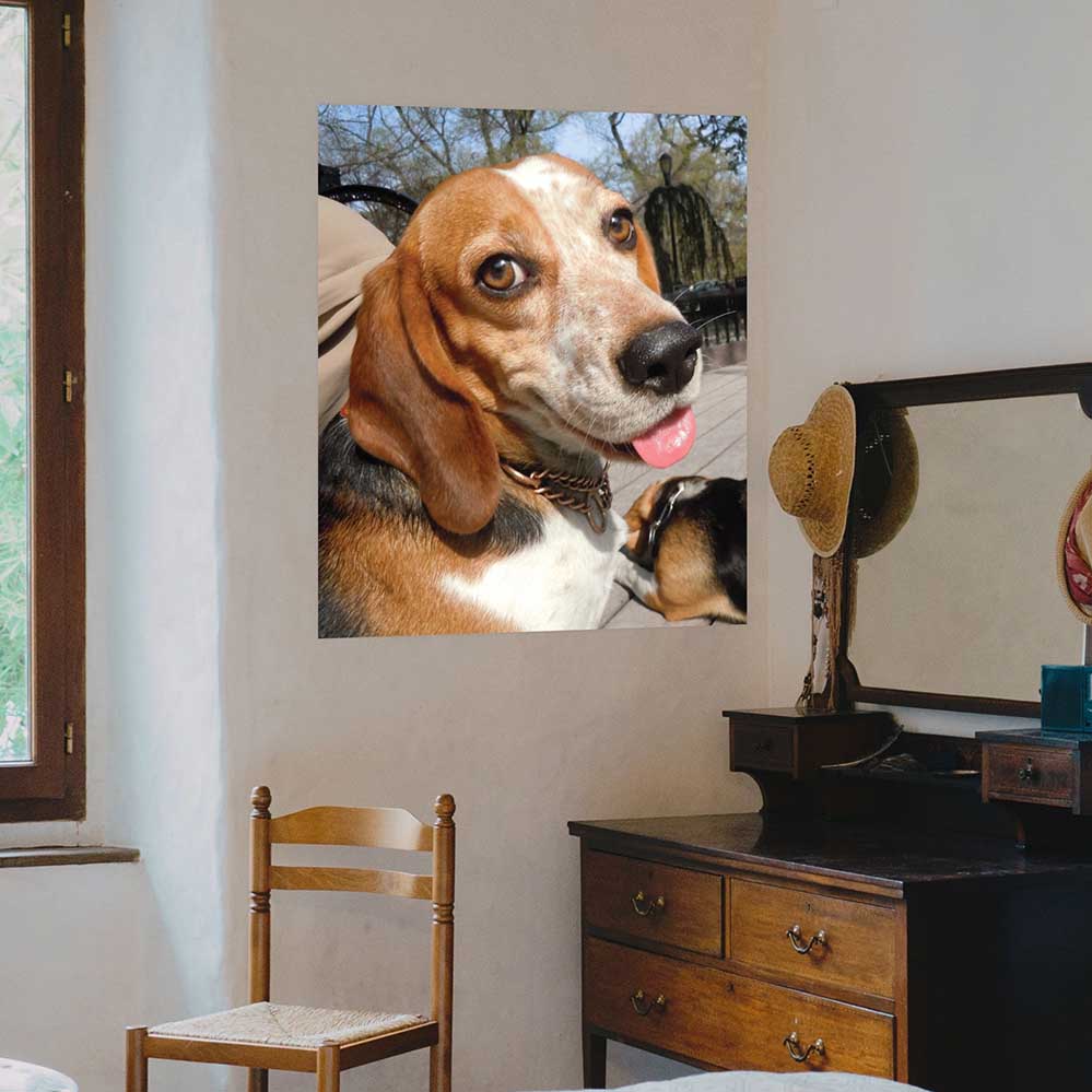 48 inch Smiling Beagle Poster Installed Above Vanity
