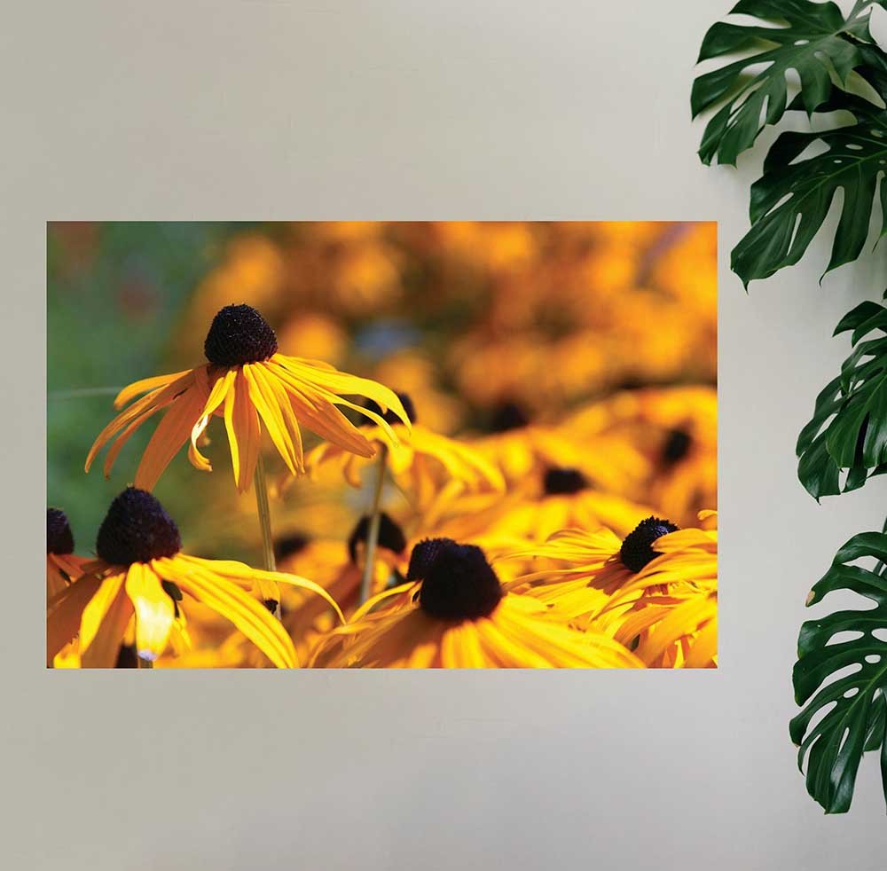 48 inch Big Brother Floral Decal Installed on Wall