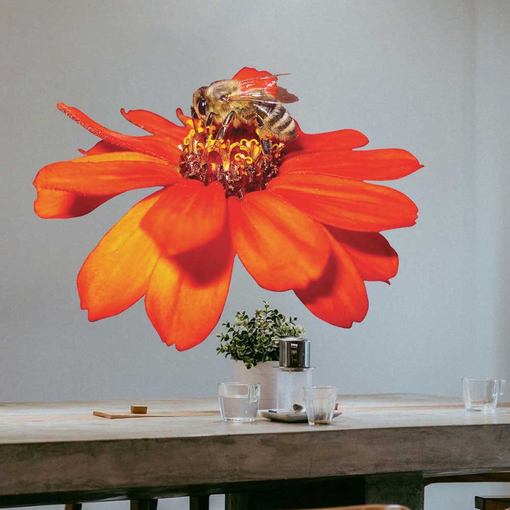 48 inch Pollen Nation Die-Cut Decal Installed in Kitchen