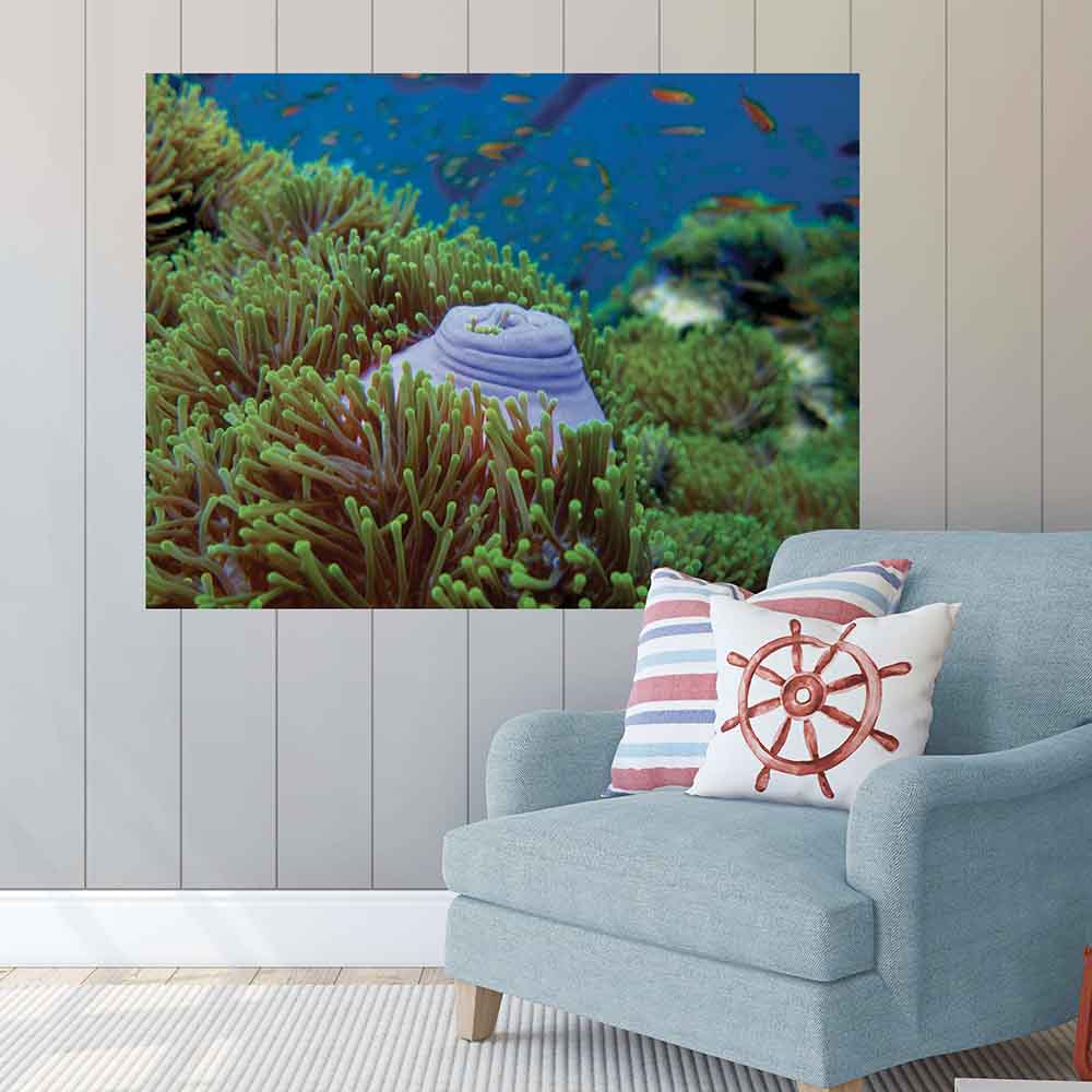 48 inch Scuba Snack Sea bed Decal Installed Above Chair