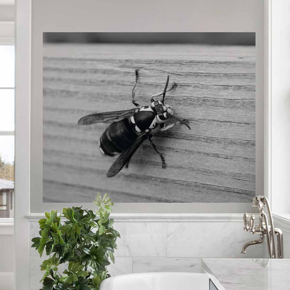 38.5x48 Bee Poster Displayed in Bathroom