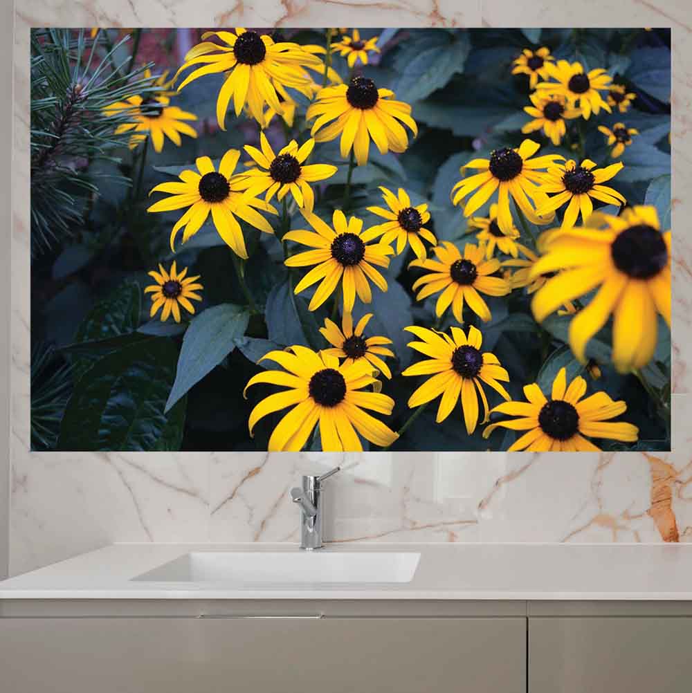 31.5x48 inch Bunch of Daisies Poster Displayed Above Sink