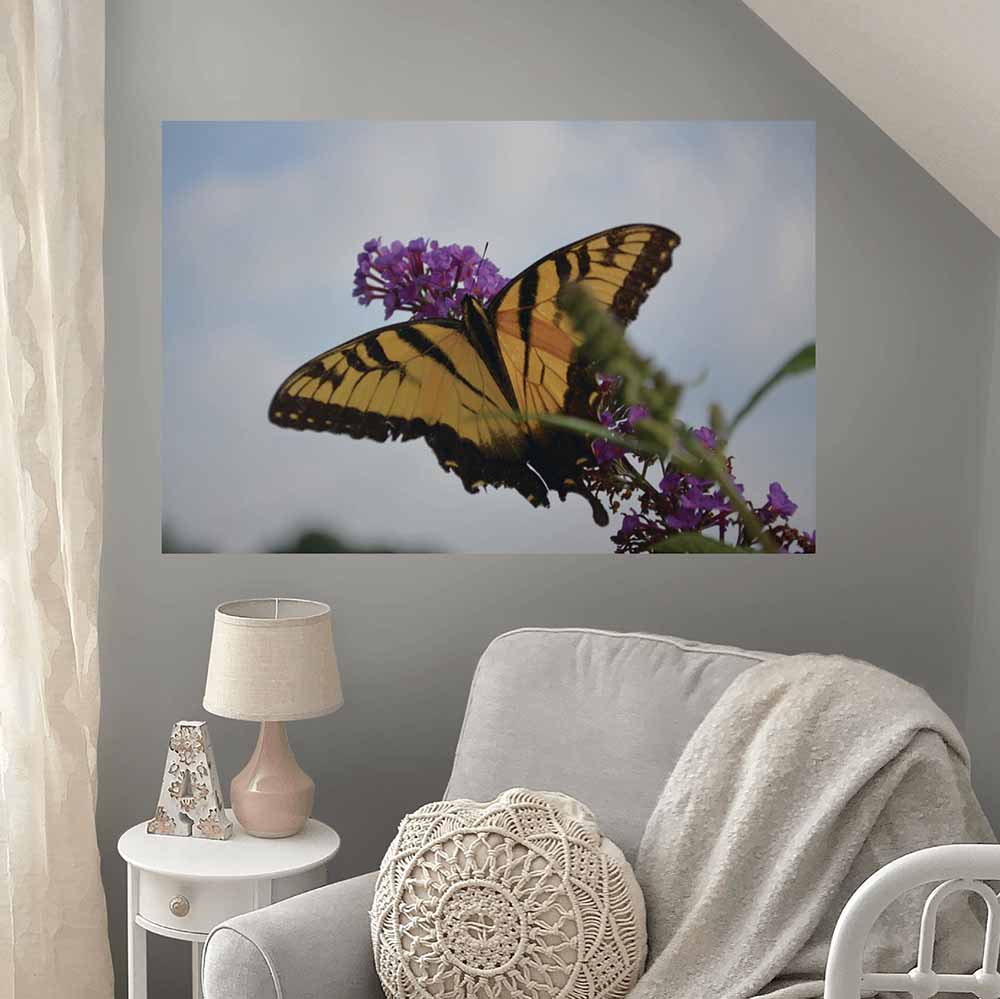 31.5x48 inch Butterfly Resting Poster Displayed Above Chair