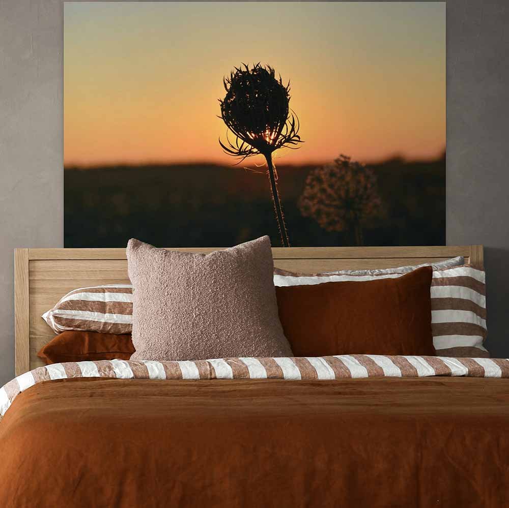 31.5x48 inch Sunset Flower Decal Installed Above Bed