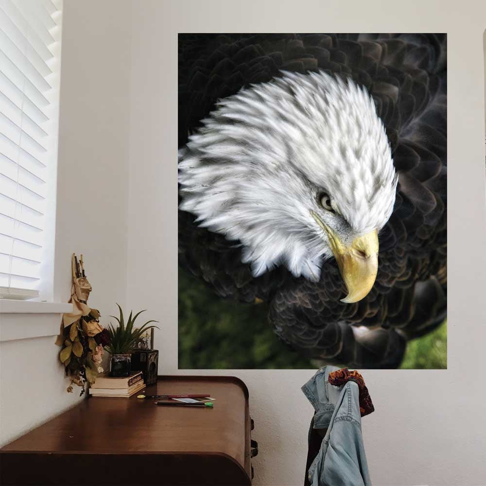 38.5x48 inch Bald Eagle Decal Installed by Desk