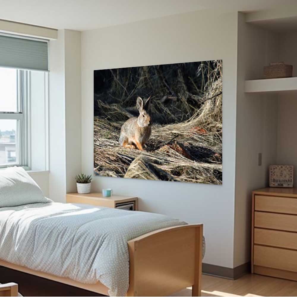 38.5x48 inch Cottontail Poster Displayed in Bedroom
